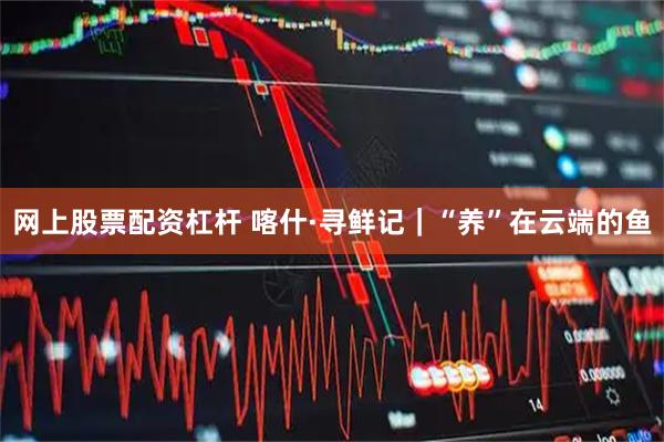 网上股票配资杠杆 喀什·寻鲜记｜“养”在云端的鱼